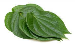 山產野菜